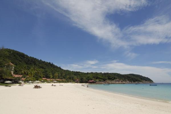 季節限定のダイビングスポット！マレーシア、レダン島の濃密な海へ！