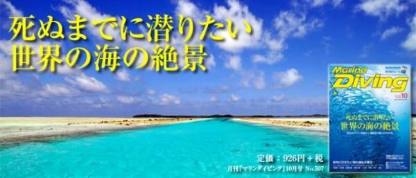 季節限定のダイビングスポット！マレーシア、レダン島の濃密な海へ！