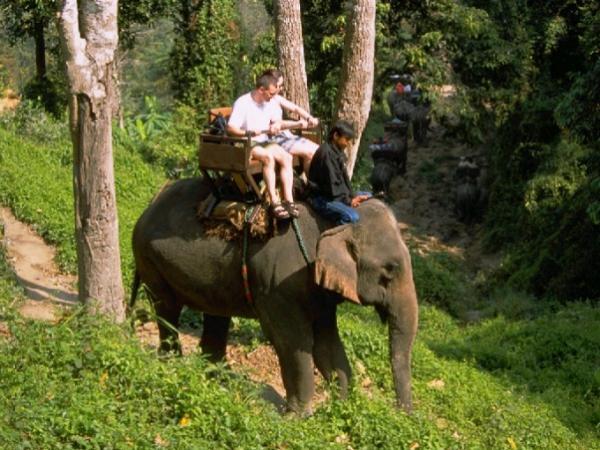 魅惑の美しい古都！タイ第二の都市「チェンマイ」