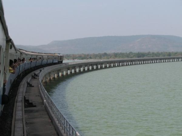 ひまわり畑に臨時停車！バンコク発「ひまわり列車」の旅