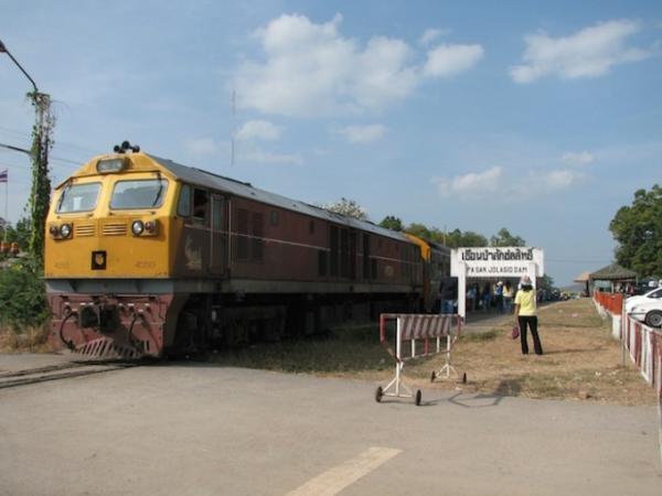 ひまわり畑に臨時停車！バンコク発「ひまわり列車」の旅