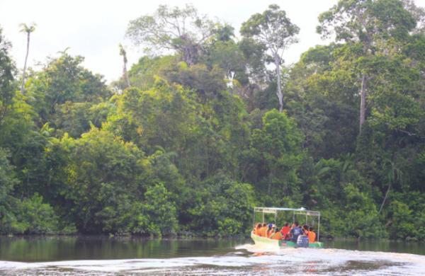 大自然に魅せられて！ネイチャーリゾート「ボルネオ島」
