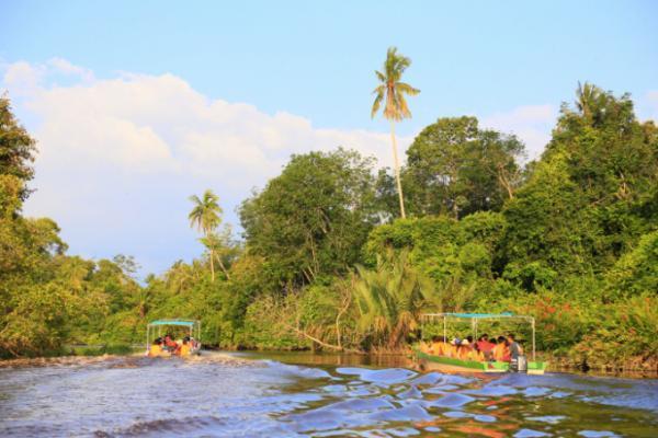 大自然に魅せられて！ネイチャーリゾート「ボルネオ島」