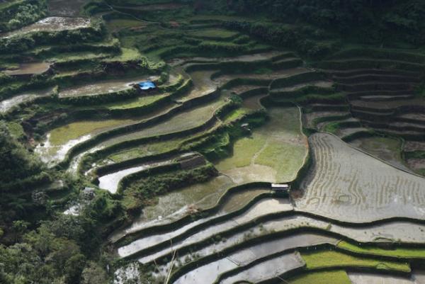 フィリピンの世界文化遺産！美しい棚田に、バロック様式の聖堂群