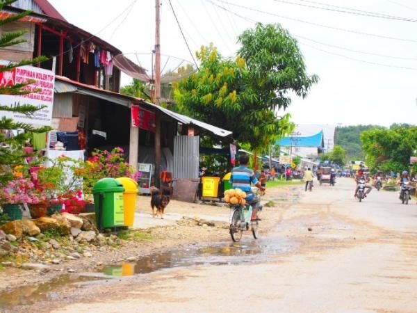 心動かされるインドネシア・ニアス島への旅路