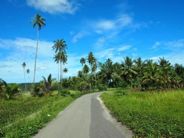 心動かされるインドネシア・ニアス島への旅路