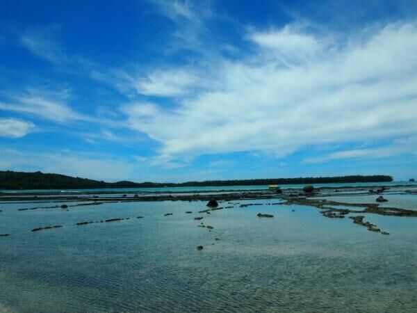 心動かされるインドネシア・ニアス島への旅路