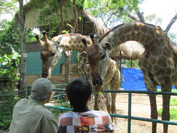 創立150周年を迎えたアジア最古の動物園「サイゴン動植物園」