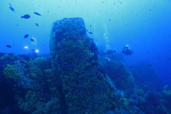 これからの季節のお楽しみ、タイのシミラン諸島でダイビング