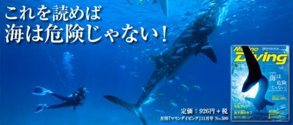 これからの季節のお楽しみ、タイのシミラン諸島でダイビング