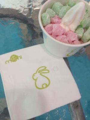 ブルネイで話題のフローズンヨーグルトアイスのお店