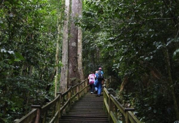 ブルネイの大自然を満喫しよう！ウル・テンブロン国立公園へ