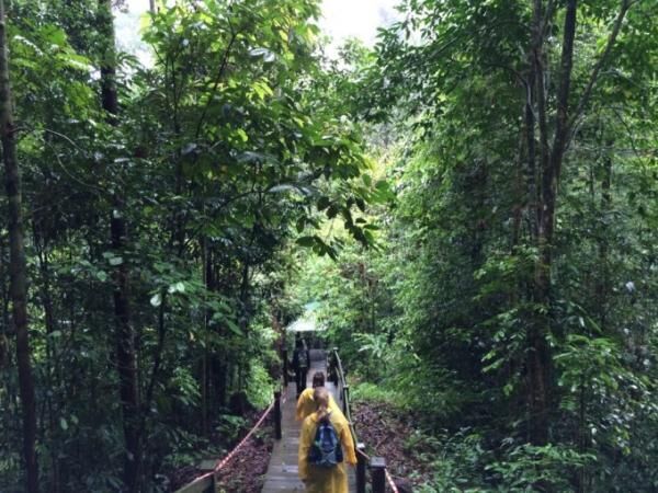 ブルネイの大自然を満喫しよう！ウル・テンブロン国立公園へ