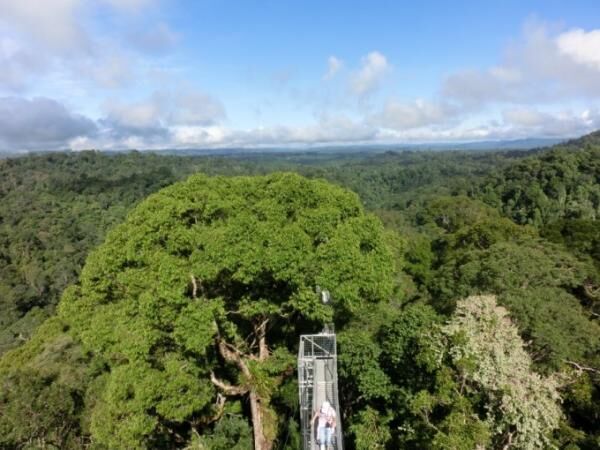 ブルネイの大自然を満喫しよう！ウル・テンブロン国立公園へ