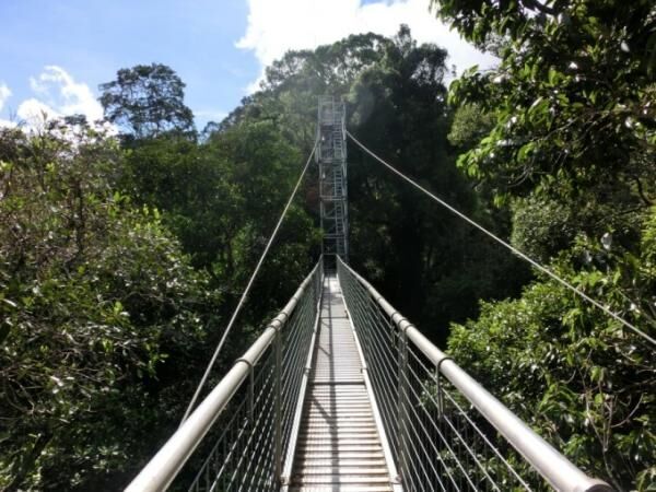 ブルネイの大自然を満喫しよう！ウル・テンブロン国立公園へ