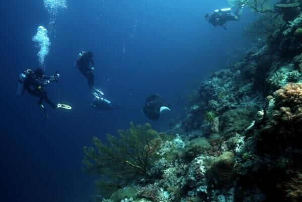 フィリピンの自然遺産！世界最長の地下河川で洞窟探検に秘境な海でダイビング！