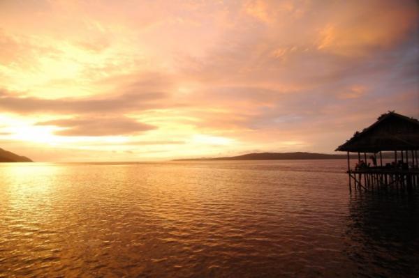 新種発見なるか！？インドネシアの秘境ダイビングスポット「ラジャアンパット」