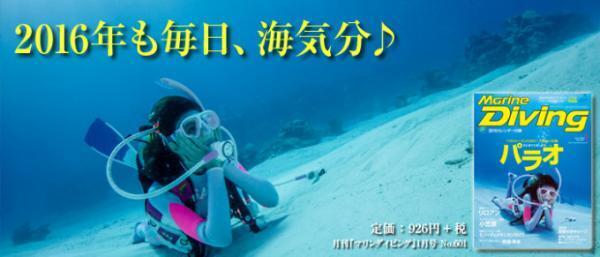 新種発見なるか！？インドネシアの秘境ダイビングスポット「ラジャアンパット」