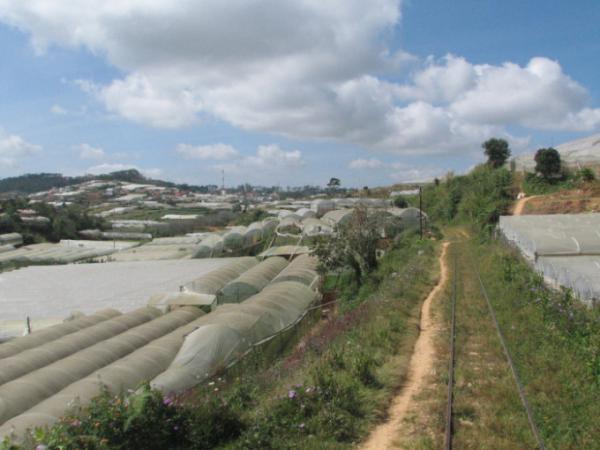 避暑地の中をのんびり走る「ベトナム・ダラットの高原鉄道」