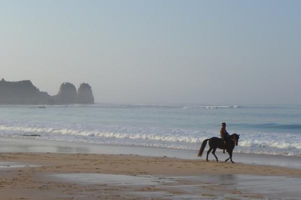 “良心”を満たすリゾート「ニヒワトゥ」へ　〜インドネシア・スンバ島〜