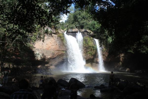 タイ中部の世界遺産！アユタヤの遺跡と、貴重な動物に会える自然遺産！