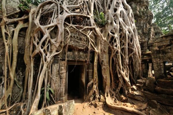 カンボジア世界遺産「アンコール遺跡群」で押さえたい5つの遺跡