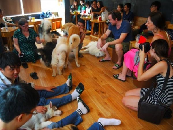 旅の疲れも吹っ飛ぶほど癒される！ベトナムの犬カフェ・猫カフェめぐり