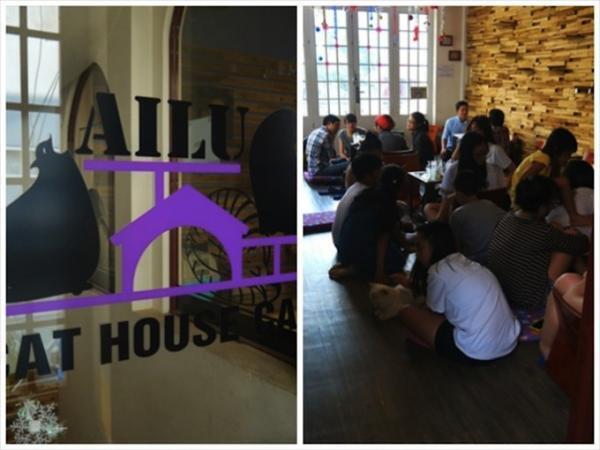 旅の疲れも吹っ飛ぶほど癒される！ベトナムの犬カフェ・猫カフェめぐり