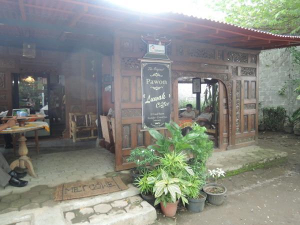 ジャコウネコの糞からとれる！？インドネシアの幻の最高級コーヒー