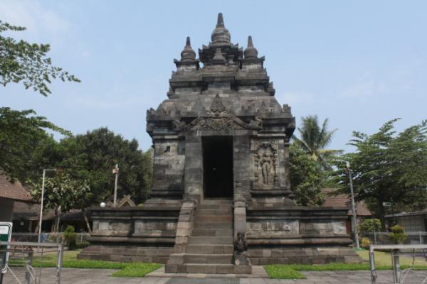 ジャコウネコの糞からとれる！？インドネシアの幻の最高級コーヒー