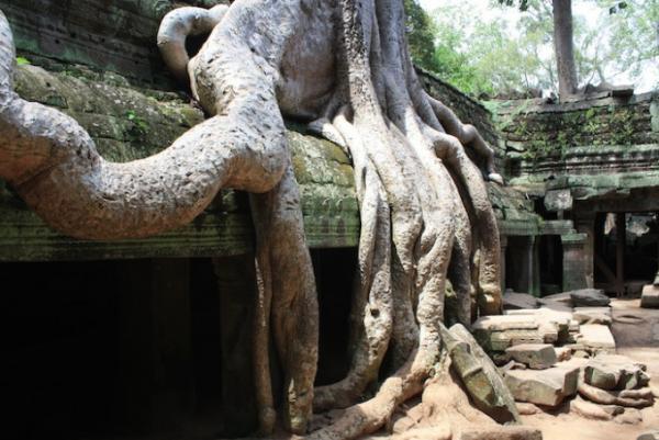 やっぱりアンコール・ワットは外せません！カンボジアとミャンマーの世界遺産