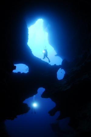 銀一色！まるで雲海のようなフィリピン「モアルボアル」のイワシの群れ