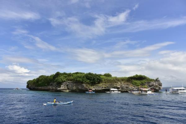 銀一色！まるで雲海のようなフィリピン「モアルボアル」のイワシの群れ