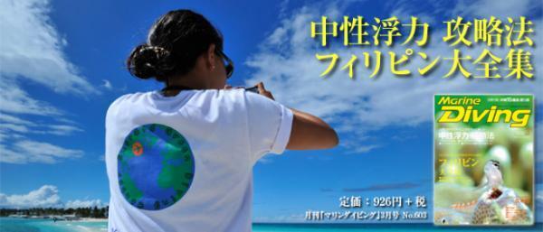 銀一色！まるで雲海のようなフィリピン「モアルボアル」のイワシの群れ