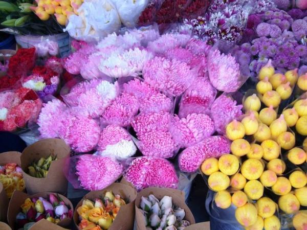 マレーシア最大級の高原リゾート「キャメロンハイランド」