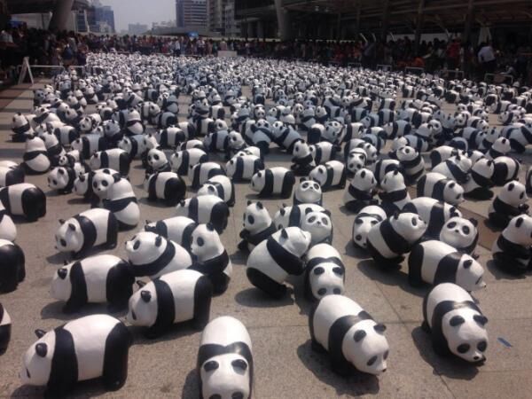 1600頭のパンダがバンコクとアユタヤに集結！「1600 pandas」