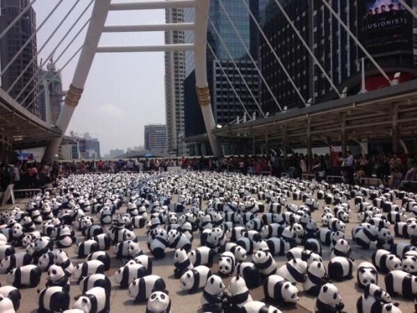 1600頭のパンダがバンコクとアユタヤに集結！「1600 pandas」