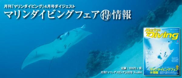 フィリピン「エルニド」で水上コテージ滞在＆豊かな海でダイビング