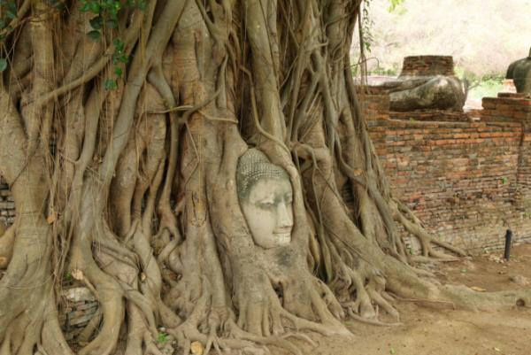 バンコクからアクセス良好！世界遺産アユタヤで見逃せない寺院！