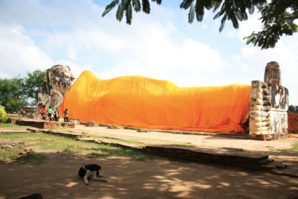 バンコクからアクセス良好！世界遺産アユタヤで見逃せない寺院！