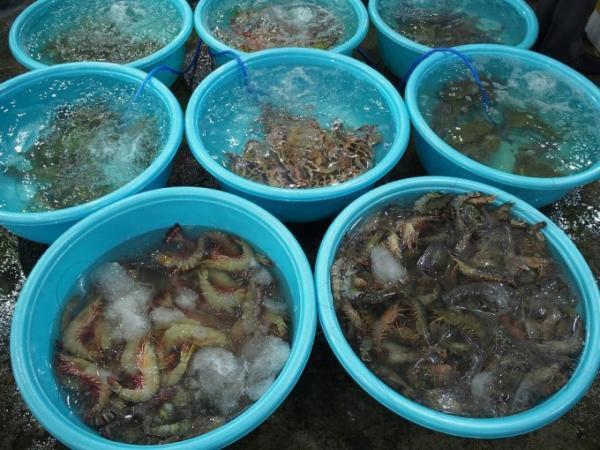 ダナンでシーフード三昧！海鮮バーベキューのお店「Quan Be Man」