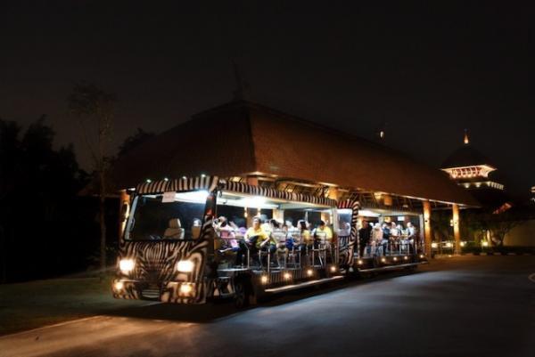 世界最大級！自然豊かな国立公園にあるチェンマイ・ナイトサファリ