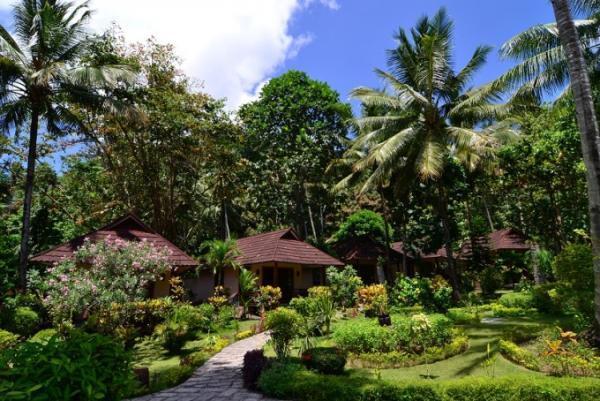 海底でフィッシュウォッチング！インドネシア・レンベでダイビング