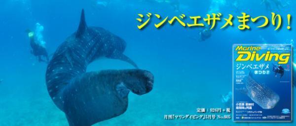 海底でフィッシュウォッチング！インドネシア・レンベでダイビング