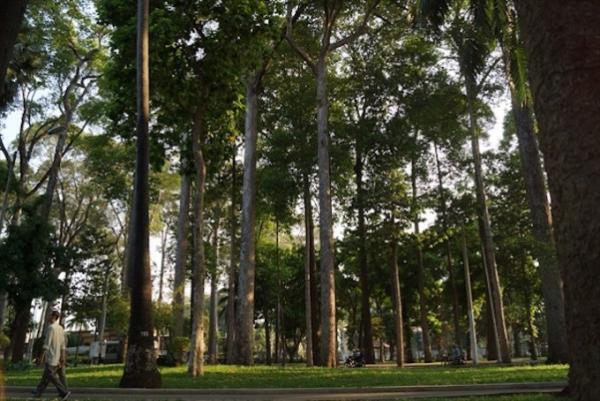 野外ジムでひと汗かいてフォー食べる！ベトナム式健康生活のススメ