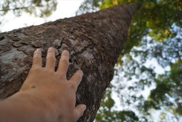 野外ジムでひと汗かいてフォー食べる！ベトナム式健康生活のススメ