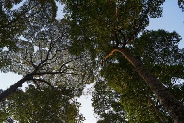 野外ジムでひと汗かいてフォー食べる！ベトナム式健康生活のススメ