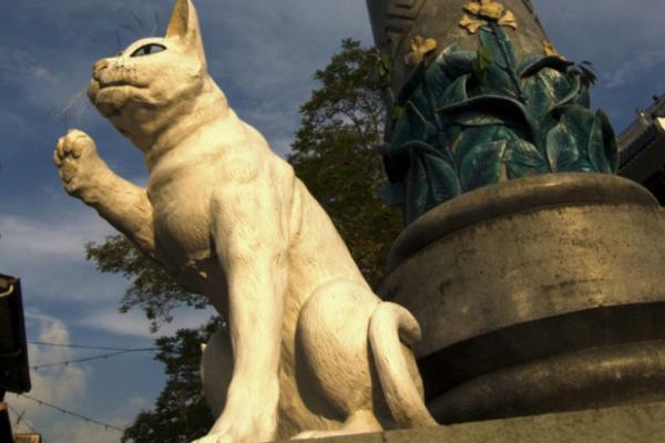 街中ネコだらけ！？ネコの街、マレーシア「クチン」