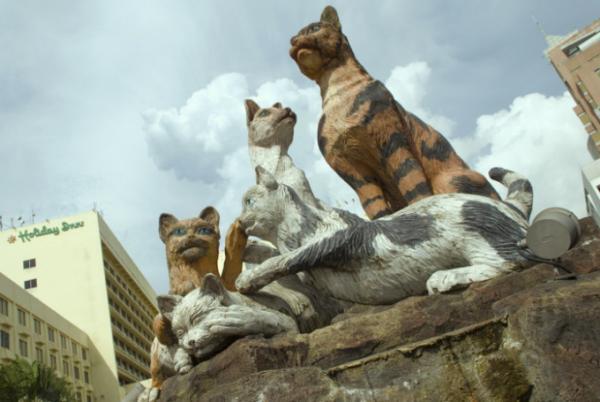 街中ネコだらけ！？ネコの街、マレーシア「クチン」