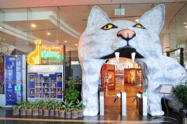 街中ネコだらけ！？ネコの街、マレーシア「クチン」